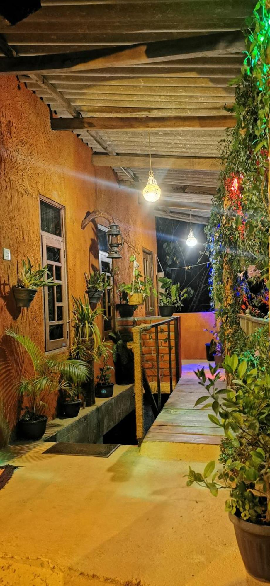 Hostal Tree House Ella Zewnętrze zdjęcie