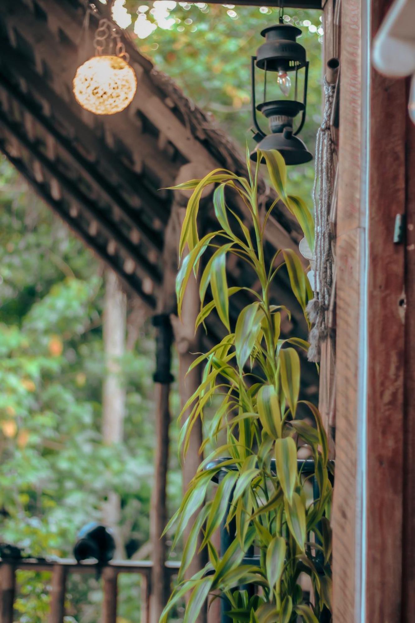 Hostal Tree House Ella Zewnętrze zdjęcie