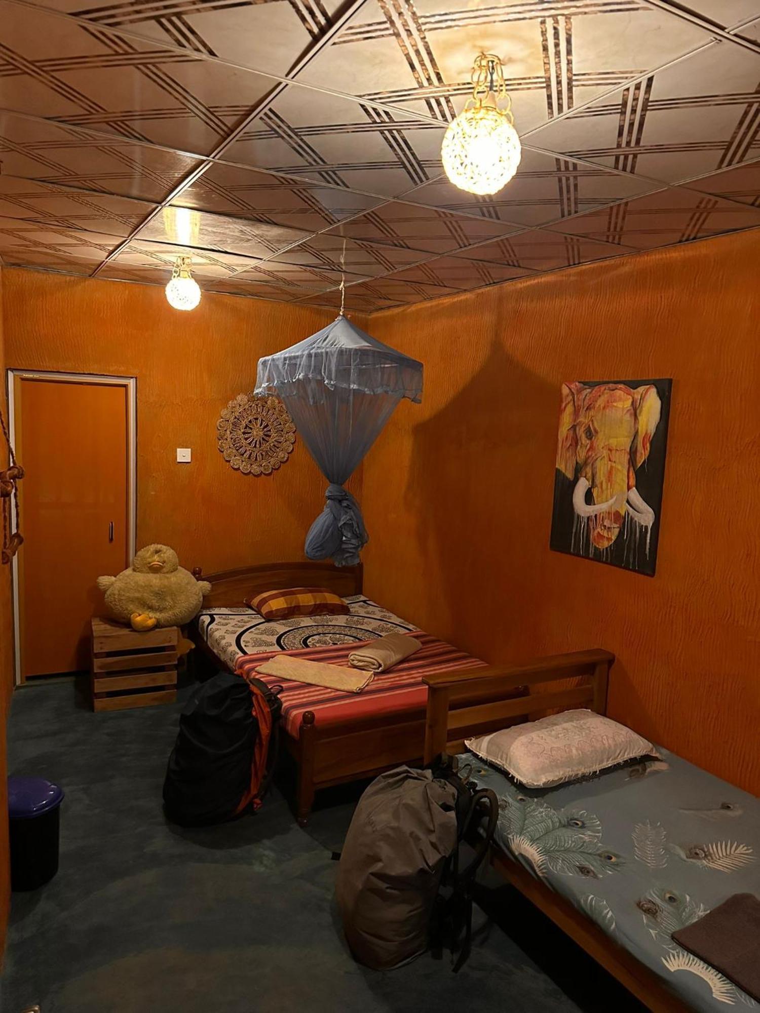 Hostal Tree House Ella Zewnętrze zdjęcie