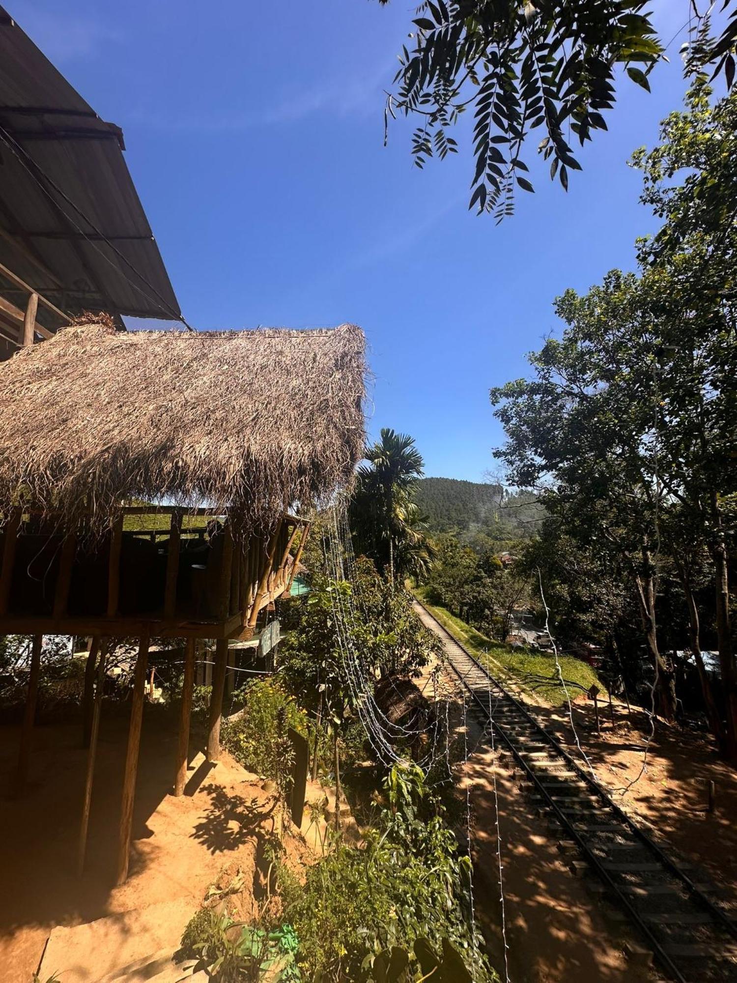 Hostal Tree House Ella Zewnętrze zdjęcie