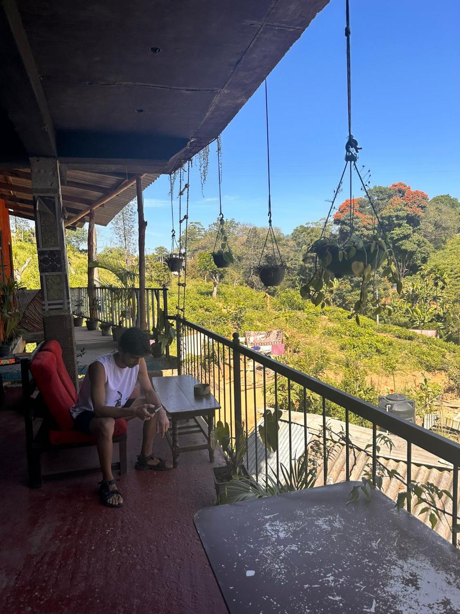 Hostal Tree House Ella Zewnętrze zdjęcie
